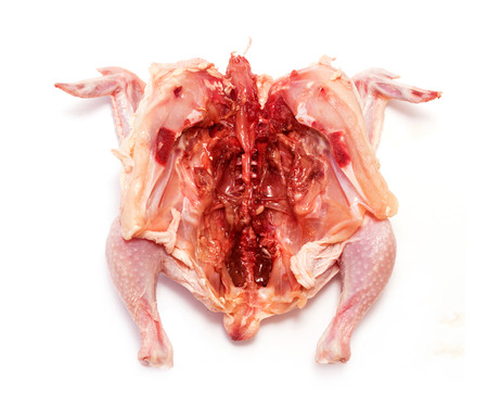 Bird chicken meat on a white backgroundの写真素材