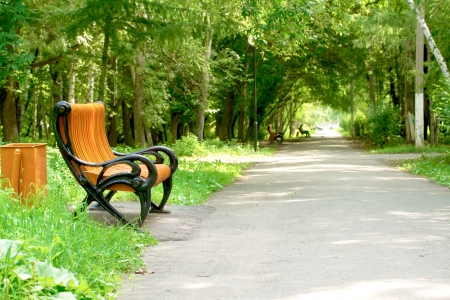 summer park landscape, wooden benchの写真素材