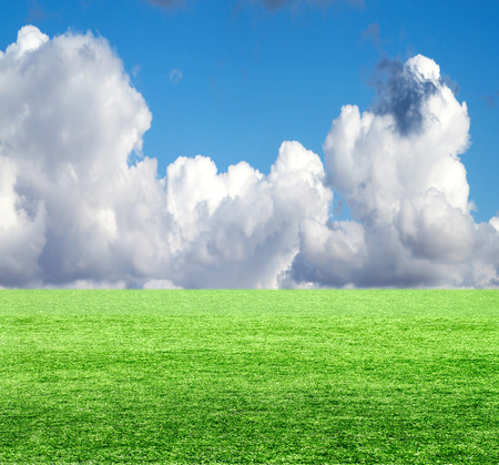 Green field under blue clouds sky.の写真素材