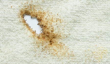 Cigarette burn in the cotton fabricの写真素材