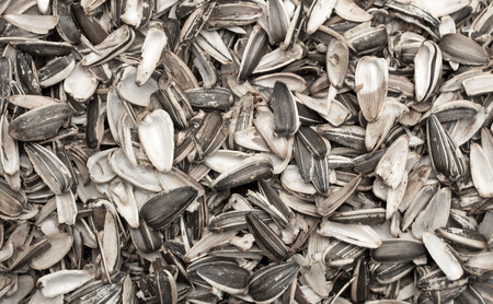 shells from sunflower seeds backgroundの写真素材