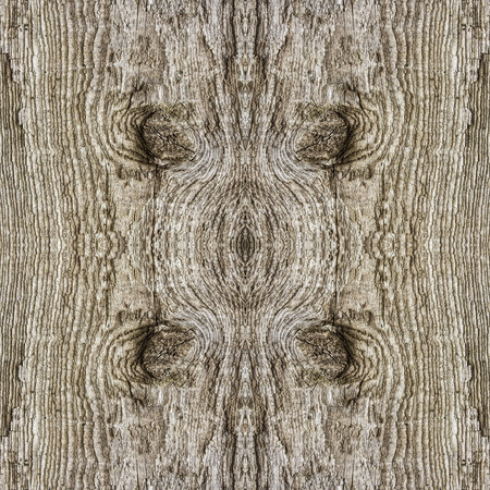 background of the old wooden barn boards, excellent textureの写真素材