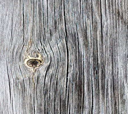 Wood plank textureの写真素材