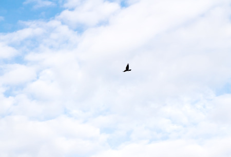 blue sky with clouds closeupの写真素材