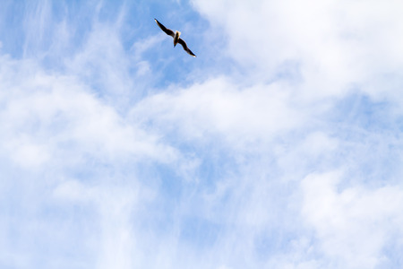 blue sky with clouds closeupの写真素材