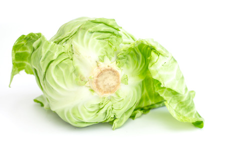 fresh head of green cabbage on a whiteの写真素材