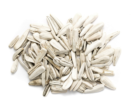 sunflower seeds on white backgroundの写真素材