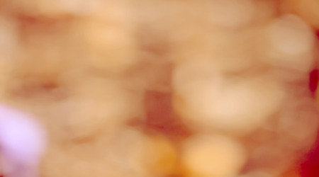 Photo of bokeh lightsの写真素材