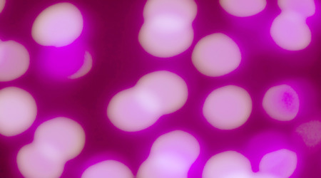 Photo of bokeh lightsの写真素材