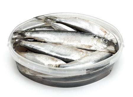the salted sprat in a plastic box, it is isolated on the whiteの写真素材