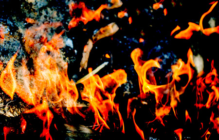 flame fire on black background