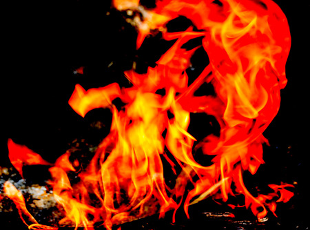flame fire on black background