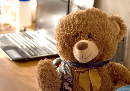 old toy bear portraitの写真素材