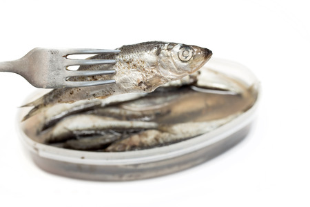 the salted sprat in a plastic box, it is isolated on the whiteの写真素材