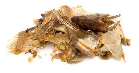 residues from food, bones from fish