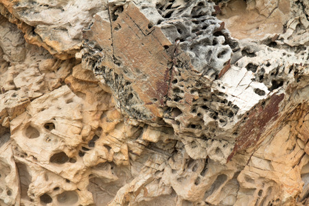 abstract background texture of seashore rock