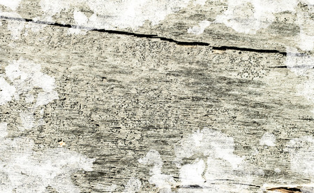 wooden background in snow surfaceの写真素材