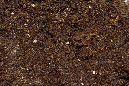 Pile of soil for plant isolated on white background