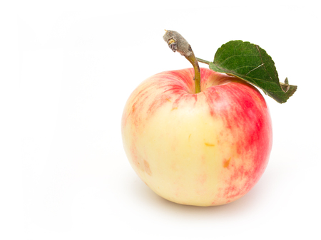 fresh apple isolated on white の写真素材