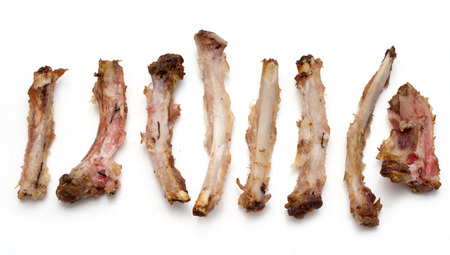 Rib bones picked clean of meat on a white backgroundの写真素材