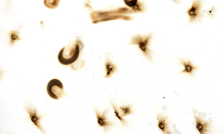 Fire holes in white paperの写真素材