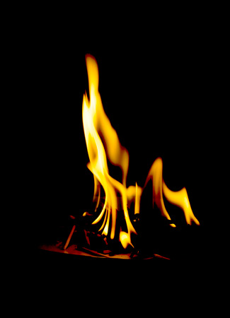 Fire flames on a black background
