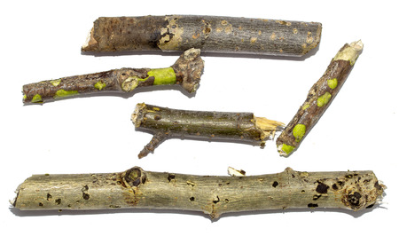 wooden twigs on white