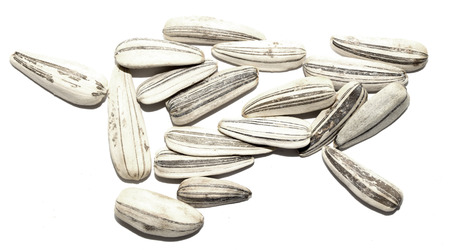 closeup of dry sunflower seeds.の写真素材