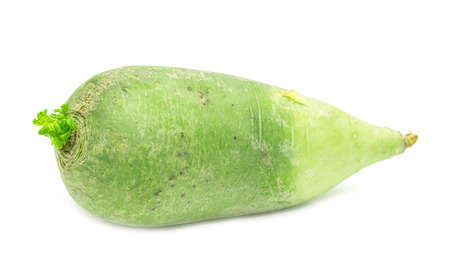 green radish on white backgroundの写真素材