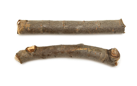 wooden sticks on a white backgroundの写真素材