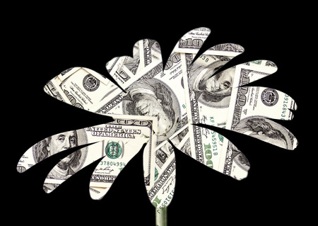 abstract flower dollar on the black backgroundの写真素材