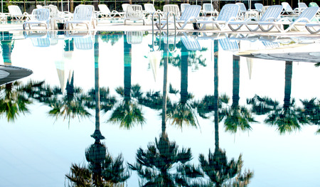 Hotel swimming pool with sunny reflections palm treeの写真素材