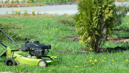 Mower on the grassの写真素材
