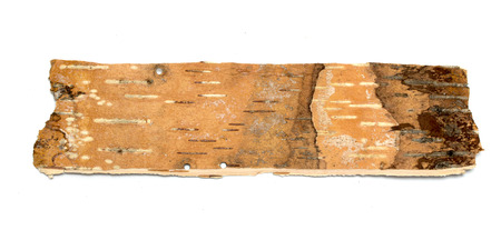 Birch bark textureの写真素材