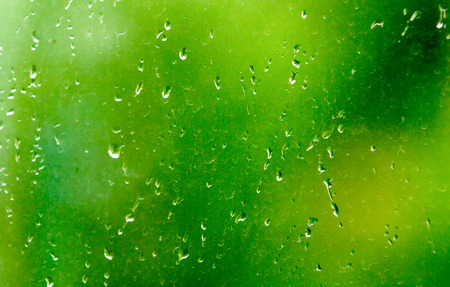 Drops on the window springの写真素材