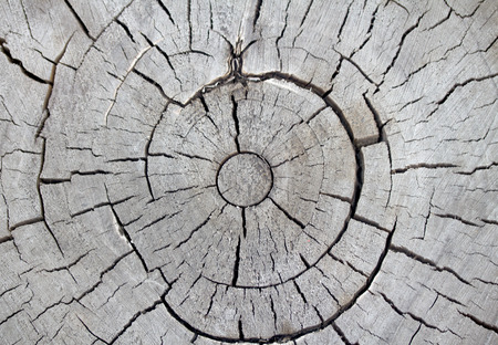 wood textureの写真素材