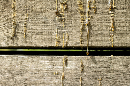barn wooden board background