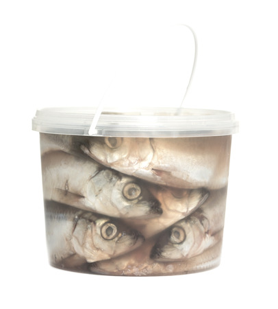 sprats fish on a white backgroundの写真素材