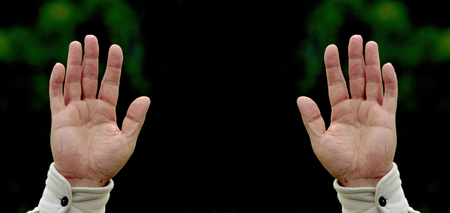 palm of the hands raised
