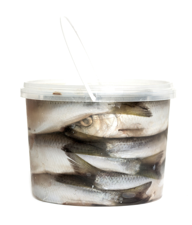 sprats fishes in plastic bucket on a white backgroundの写真素材