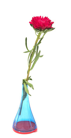 beautiful flower in a vase on a white backgroundの写真素材