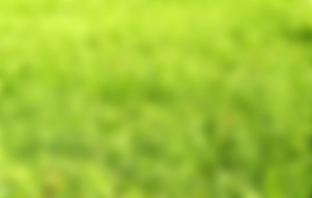 blurred green background, natureの写真素材