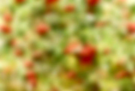 blurred background, natureの写真素材