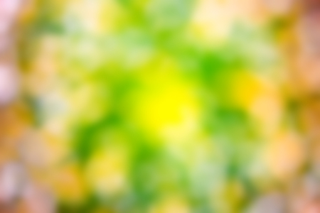 Defocused abstract bokeh for use at graphic designの写真素材