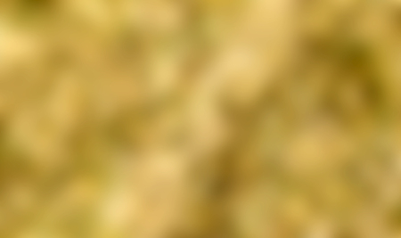 blurred yellow background, autumn forest landscapeの写真素材