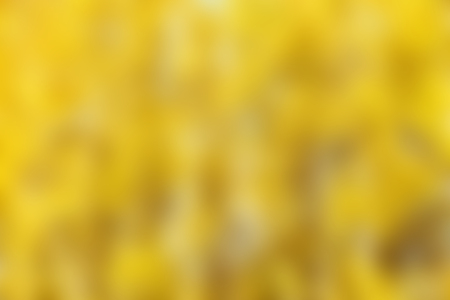 blurred yellow background, autumn forest landscapeの写真素材