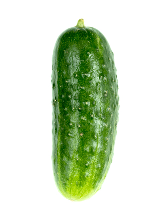 green cucumber isolated on white backgroundの写真素材