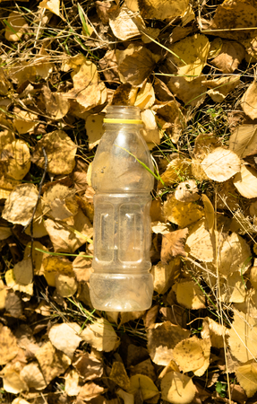 trash, plastic ware on yellow leavesの写真素材