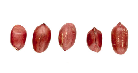 peanuts with red skin