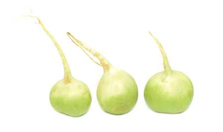 green radish on a white backgroundの写真素材
